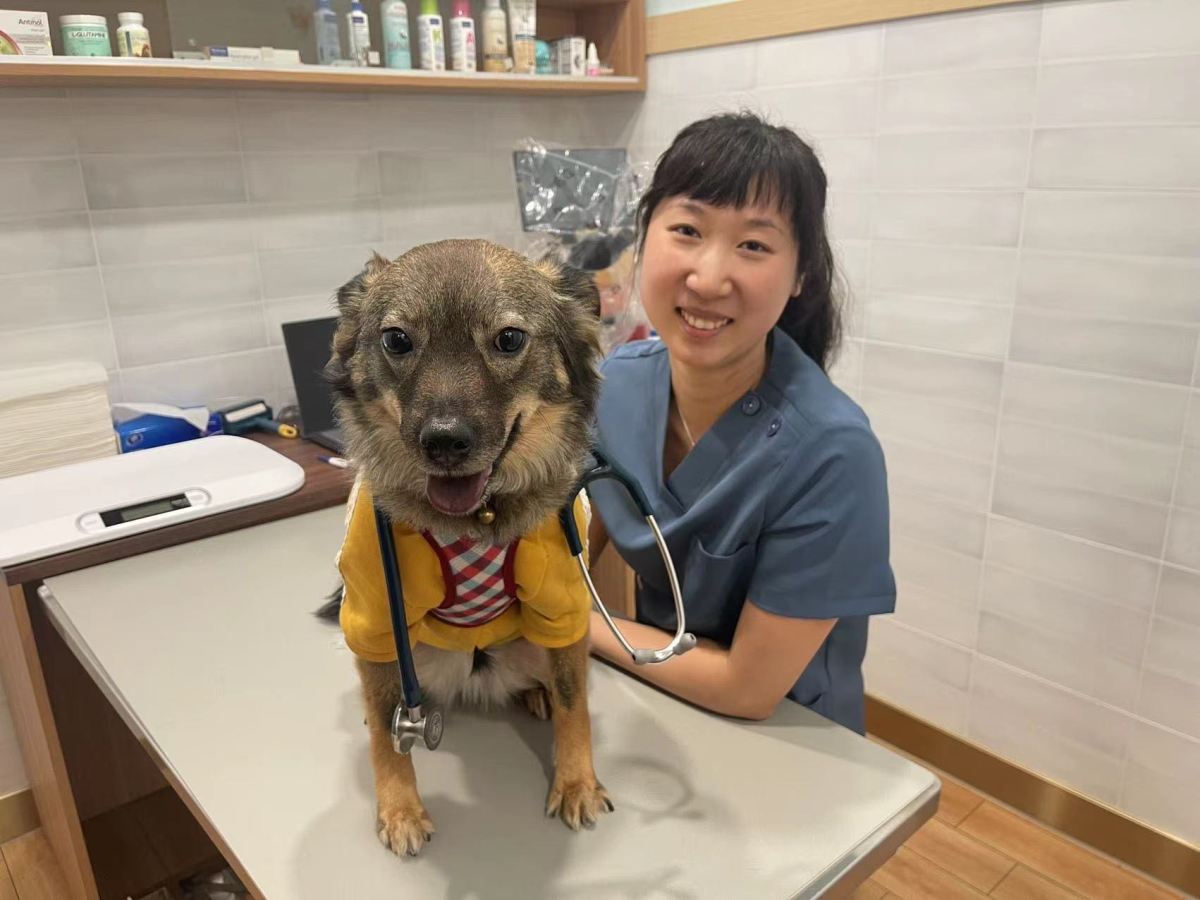 給想當獸醫的畢業生 要怎樣才能當一位獸醫