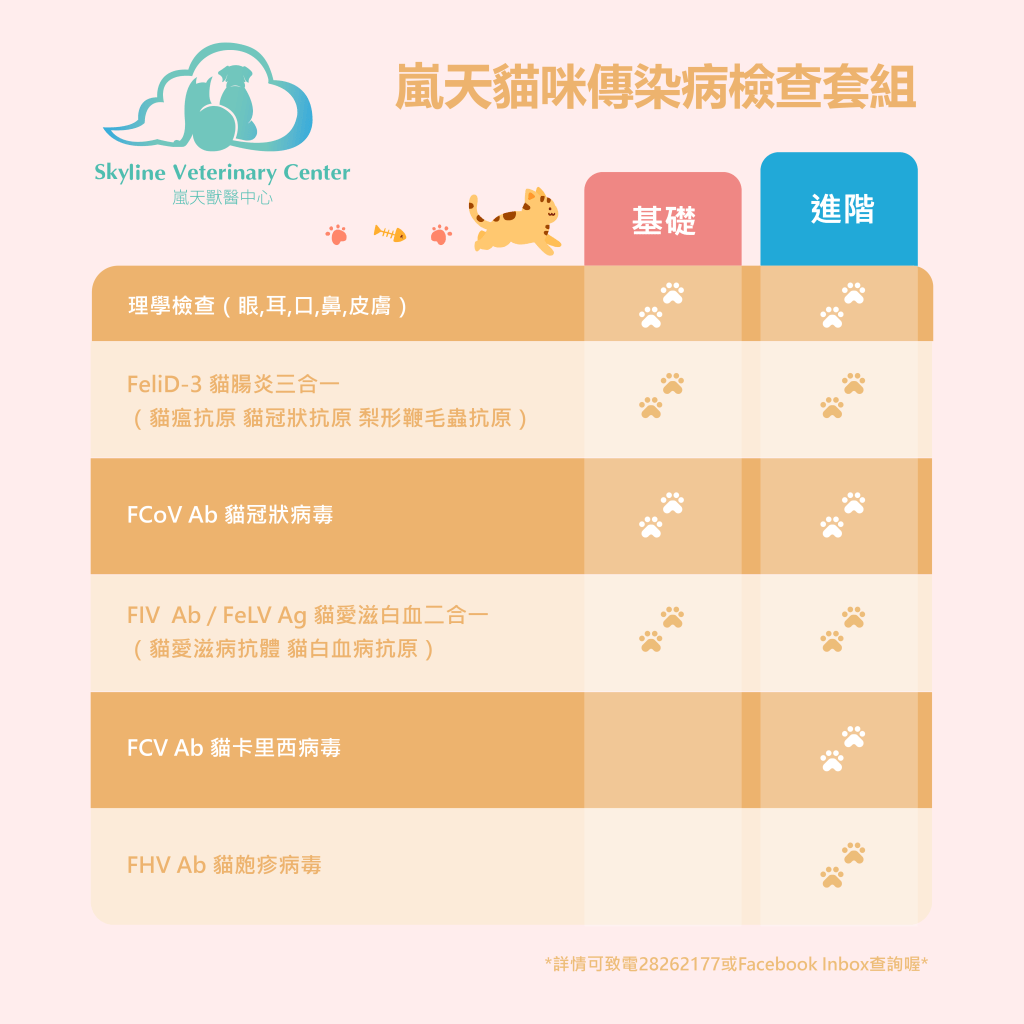 新來的貓貓要先做檢查嗎?