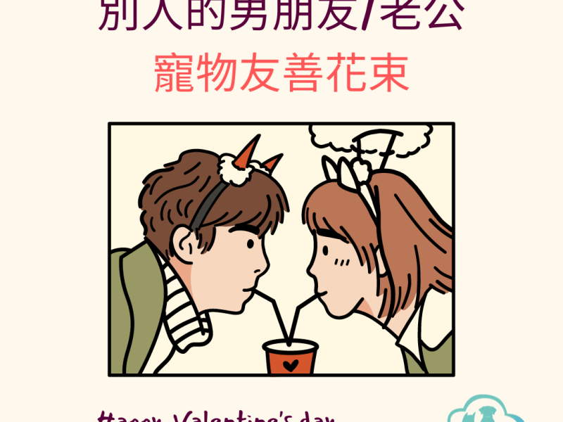 情人節送花？寵物友善花束幫到你