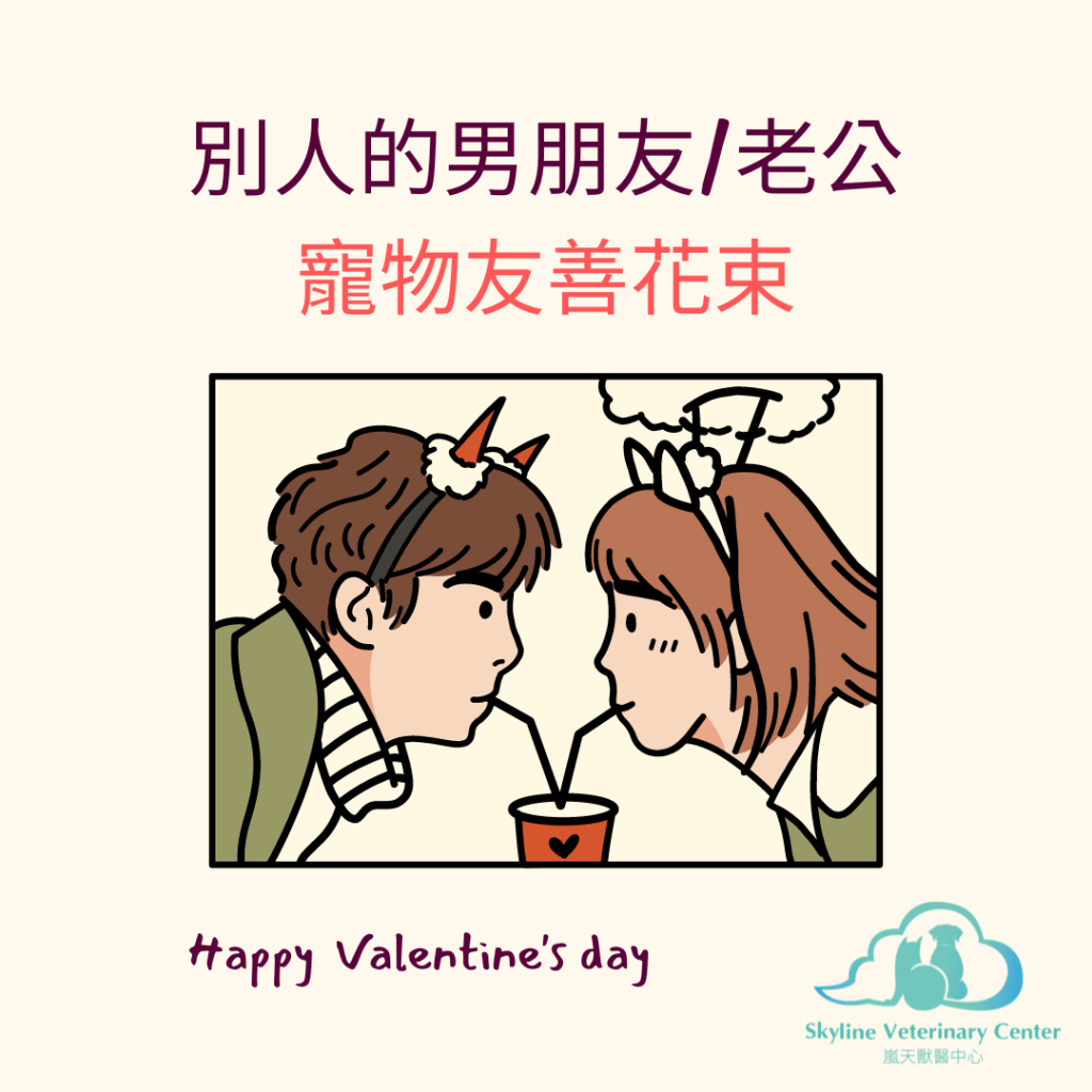 情人節送花？寵物友善花束幫到你