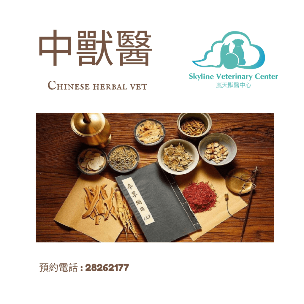 寵物也有中醫 ？ 中獸醫是怎麼幫毛孩&nbsp;？