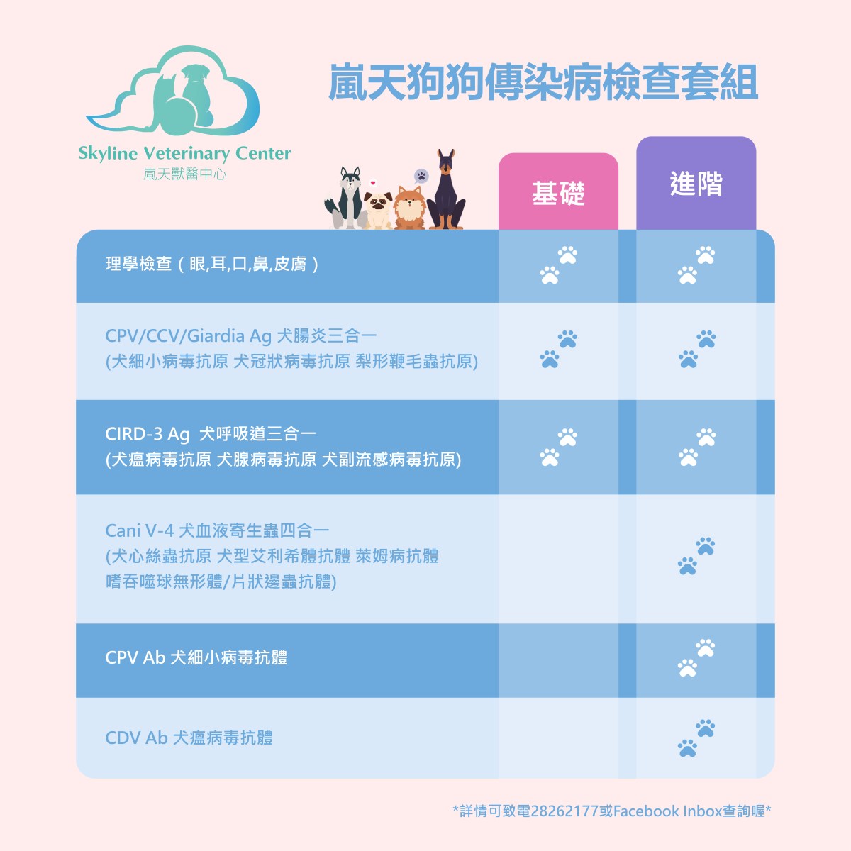 新來的狗狗要先做檢查嗎?