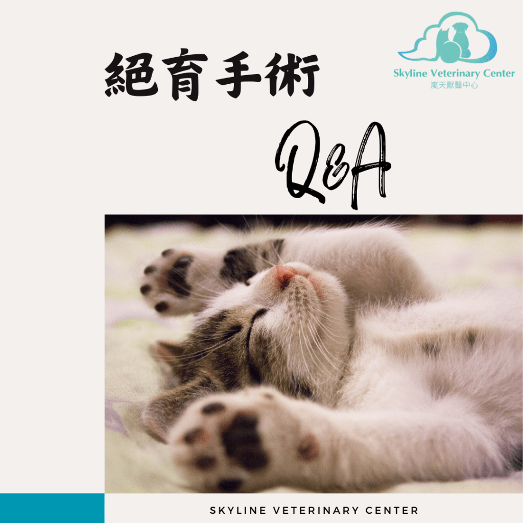 嵐天絕育手術常見Q&A